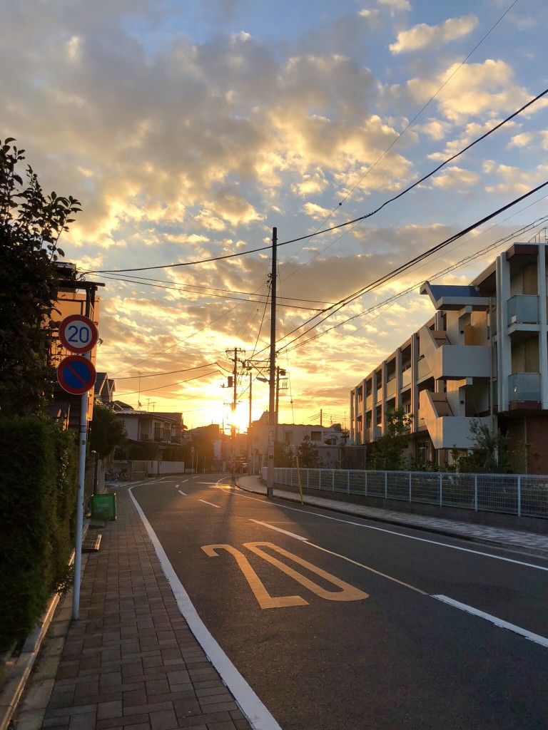 新しい出会い